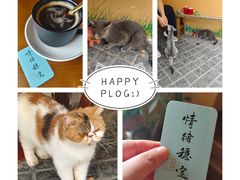 -猫岛主趣味餐厅(鼓浪屿店)