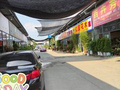 -金科花卉市场
