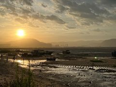 -北岐滩涂