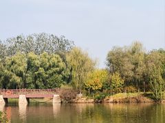 -翠湖国家城市湿地公园