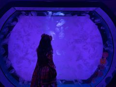 -沈阳海洋探索中心