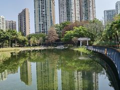 -四海公园(南山区)