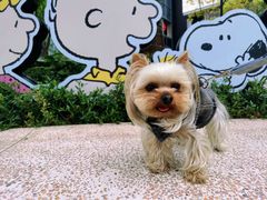 -星巴克臻选(杭州嘉里中心1F店)