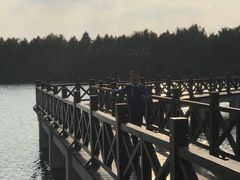 -南湖湿地公园