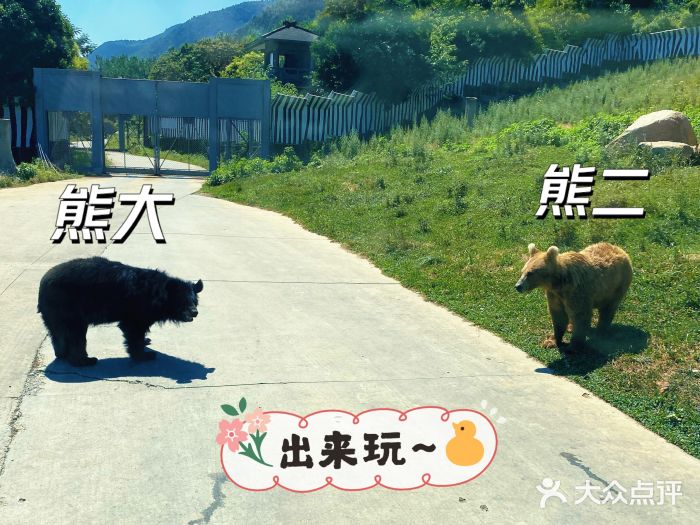 西安秦岭野生动物园图片