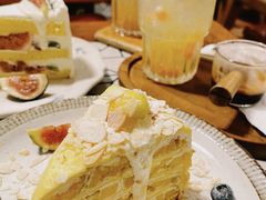 芒果千层-懒鱼时光馆(沙坪坝店)