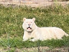 -北京野生动物园