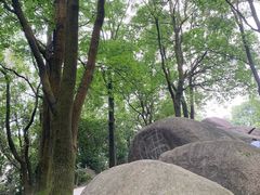 -火炉山森林公园