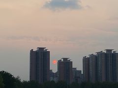 -莲花池公园