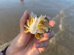 -南澳海滩