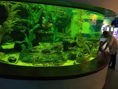 -海合安成都极地海洋公园