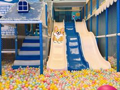 -大江户·温泉洗浴(浑南店)