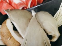 -丽江庭院之丽江往事(安定门店)