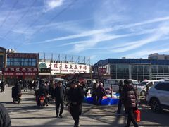 -中环花鸟鱼虫市场