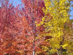 -北京宽沟会议中心