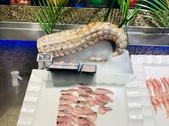 -初色海鲜自助(万丰路店)