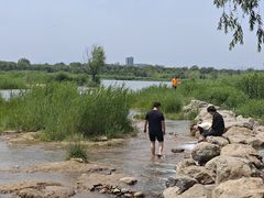 -绿堤公园