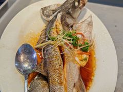 -百年银屏·蚝烙专门店(乐山店)