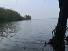 -合肥滨湖国家森林公园