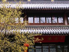 -灵谷景区