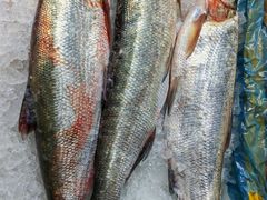 -众彩物流水产市场