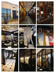 -鼎极摄影(世纪金源店)