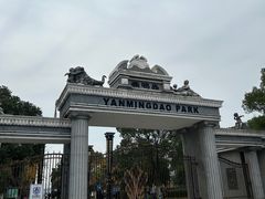 -燕鸣岛