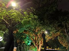 -蘇河湾·新鲁菜·泰山宴(泰山店)