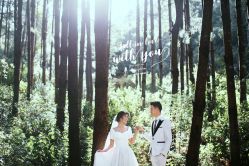-GO VISION 动视觉婚纱摄影高级定制