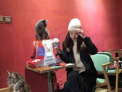 -猫色咖啡·猫咖