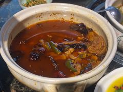 -先机泉水鸡汤(南山老君洞店)