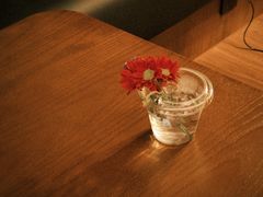 -LOTTA COFFEE(安居博文苑店)