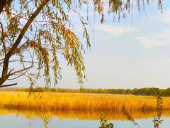 -野鸭湖国家湿地公园