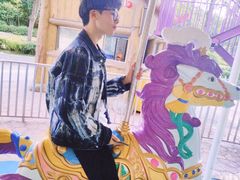 -南京银杏湖乐园