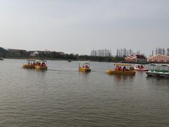 -上海长兴岛郊野公园