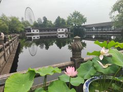 -无锡蠡湖国家湿地公园-蠡园