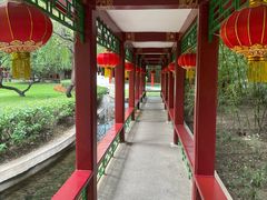 -咖啡CHA自助餐厅(香格里拉饭店)