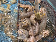 -好兄弟郭巨海鲜(天一阁店)