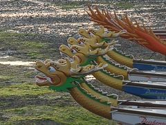 -龙舟池