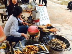 iphone_upload_pic-扬美古镇景区