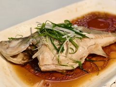 -云中小雅