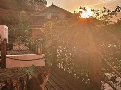 -泸沽湖国家级风景名胜区走婚桥