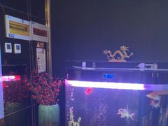 -华夏良子·足道·SPA·艾灸(苏州桥店)