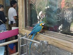 -昆明动物园