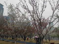 -西北湖绿化广场