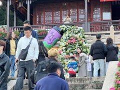 -苏州上方山国家森林公园