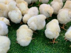 -沃尔玛超市(北大街店)