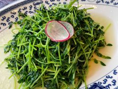 清炒豆苗-宁波状元楼酒店(和义路店)