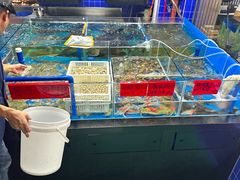 -明本湛江鸡•海鲜小厨(陈家祠店)