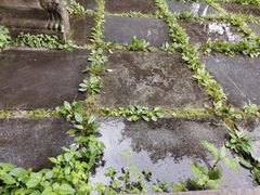 -溪口-滕头旅游景区